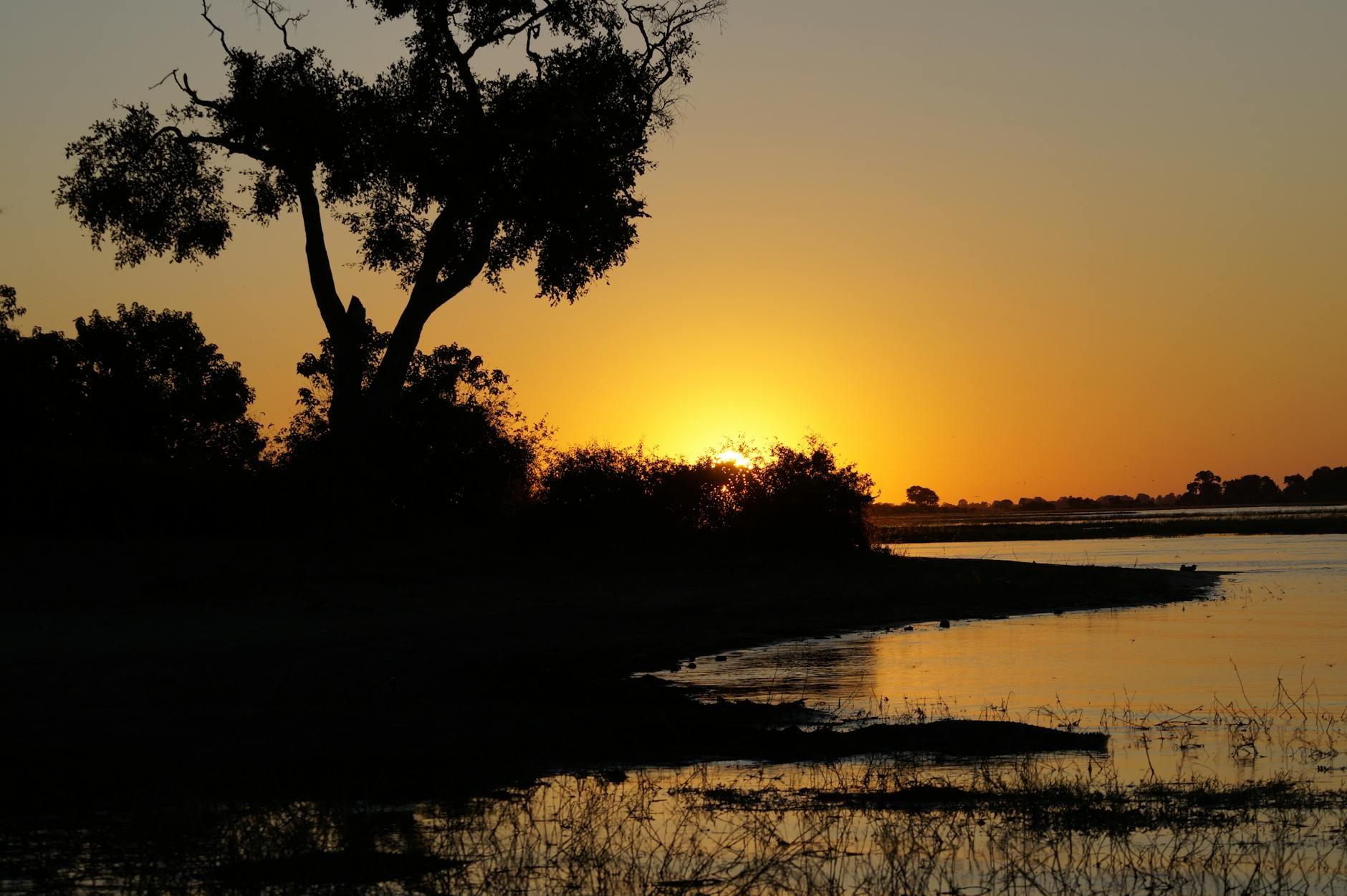 Botswana landscape