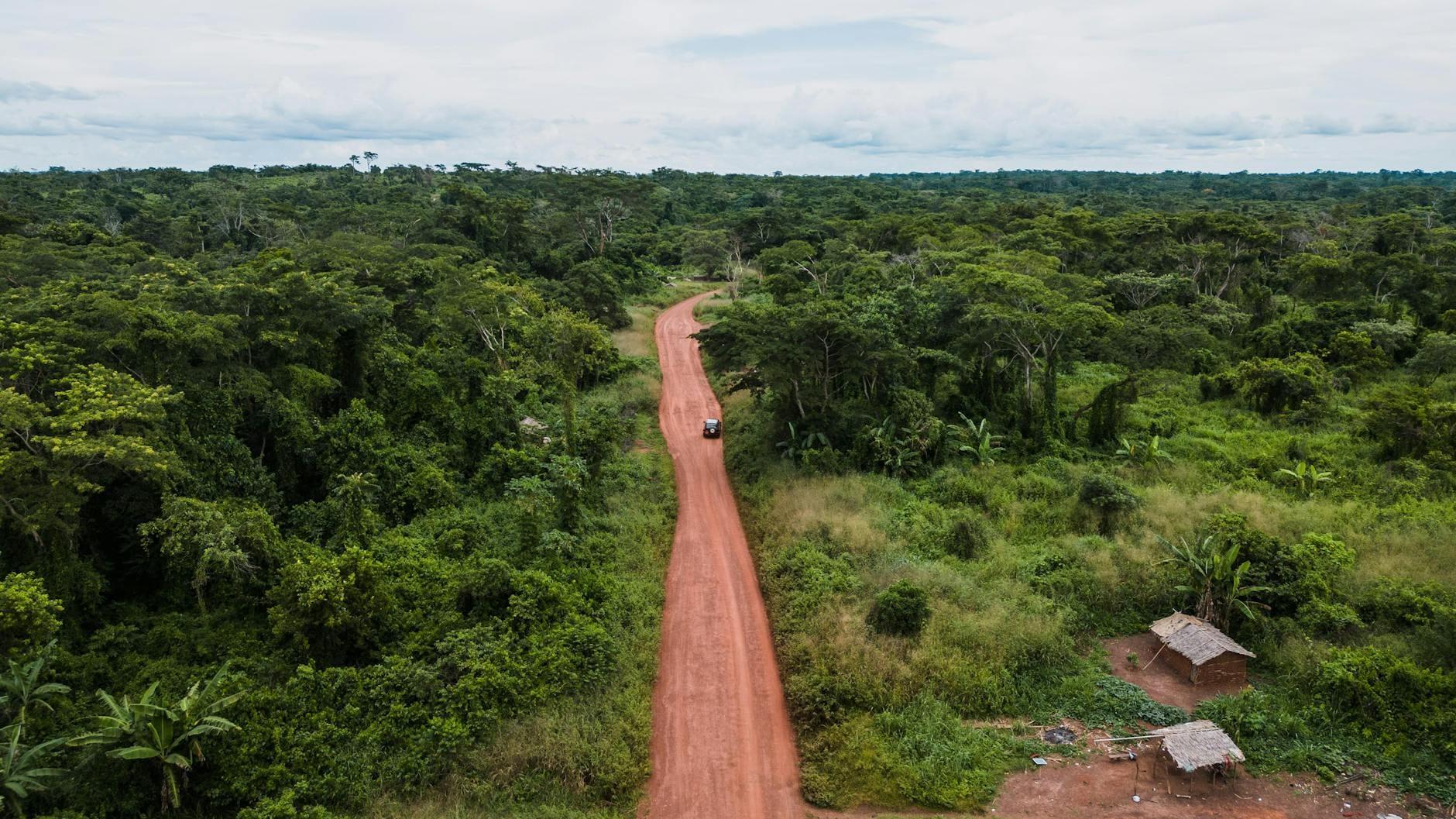 Cameroon landscape