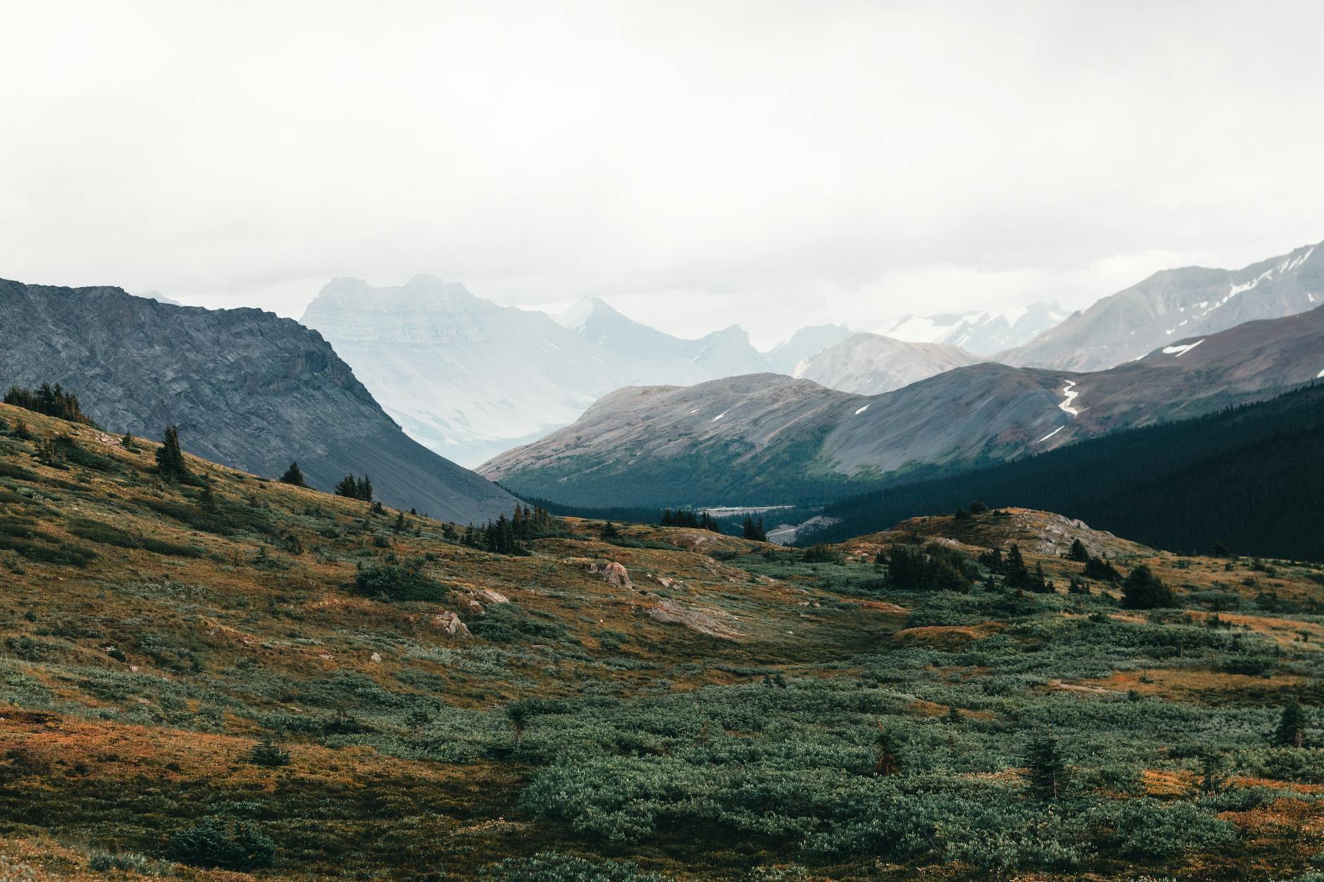 Canada landscape