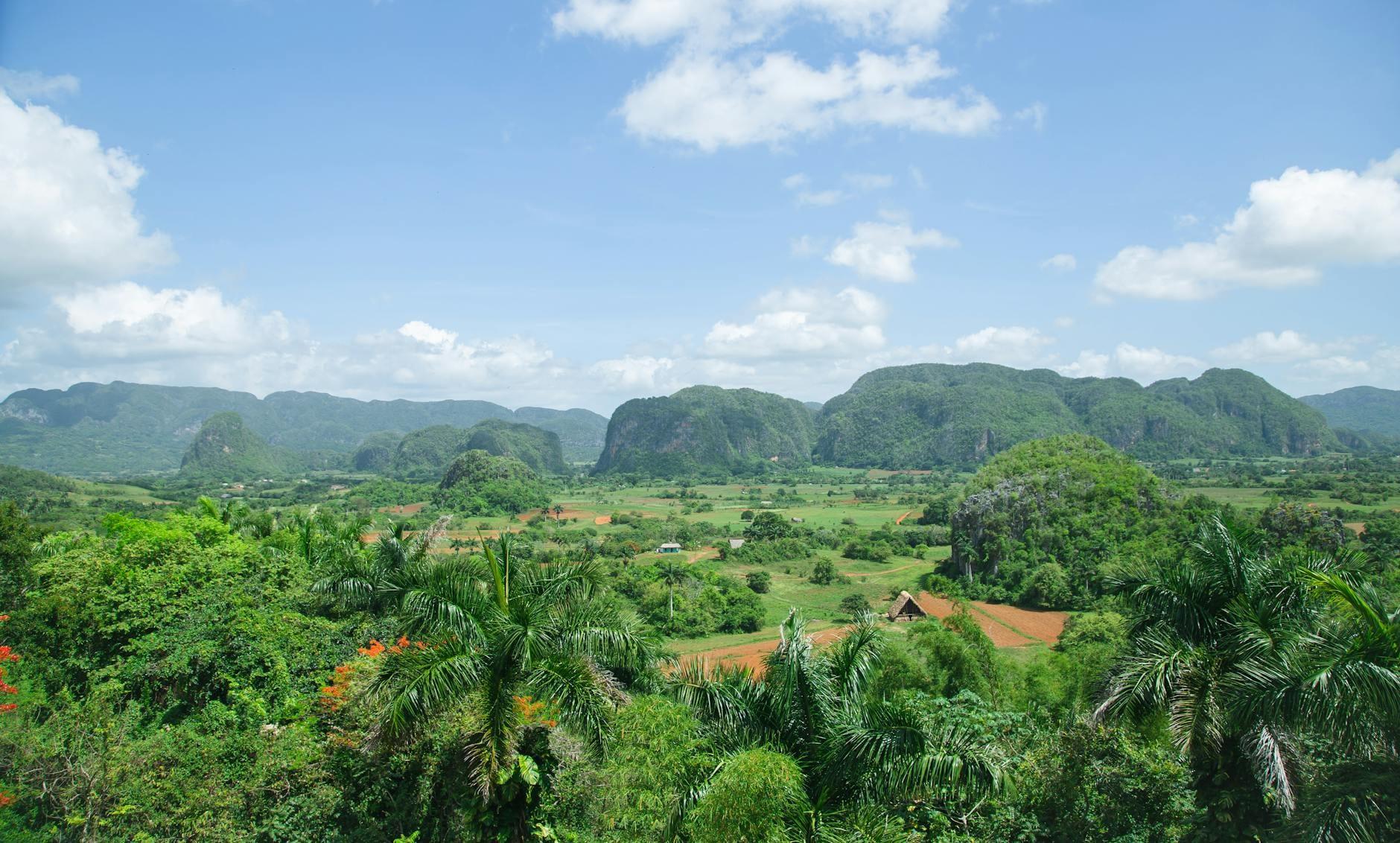 Cuba landscape