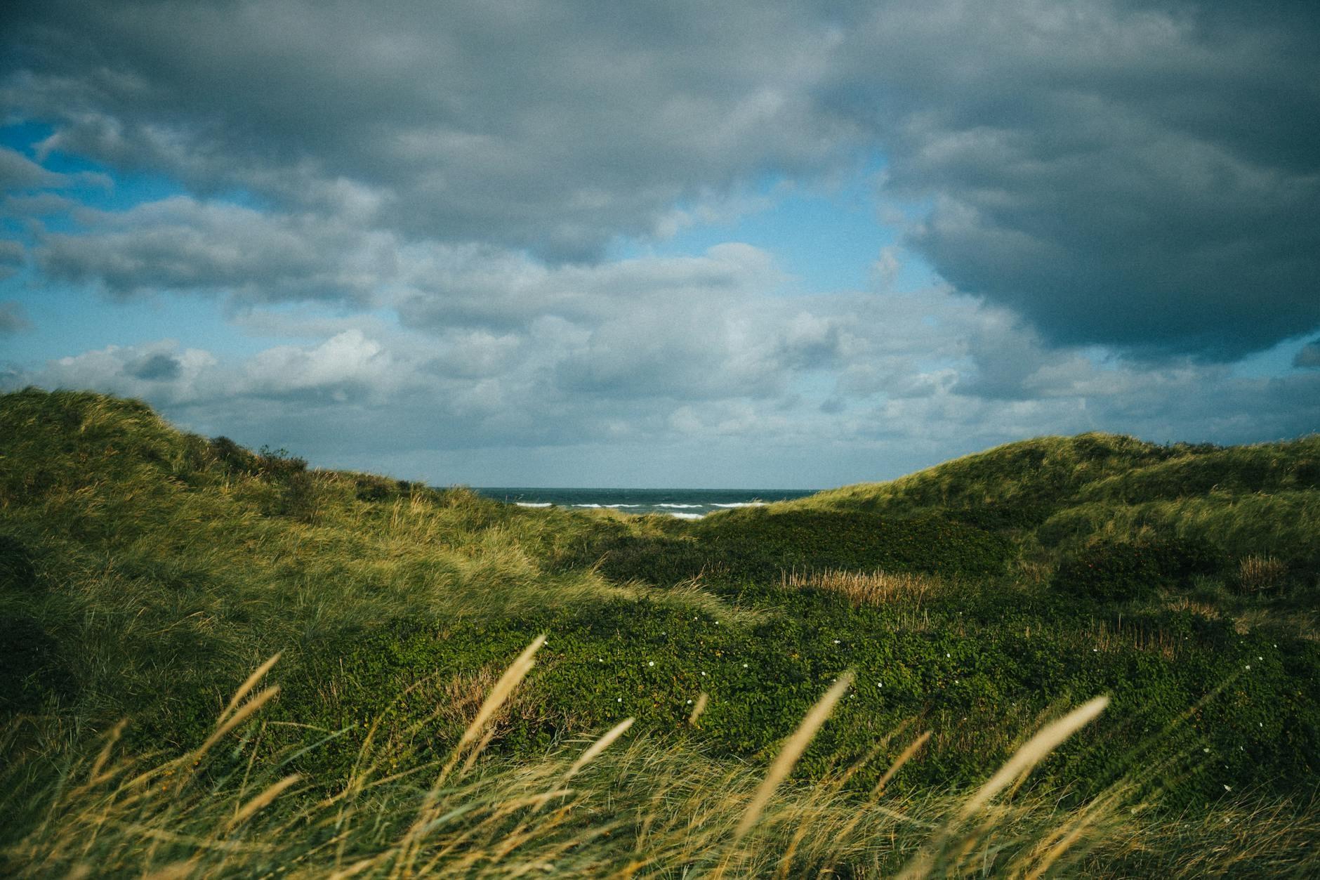 Denmark landscape