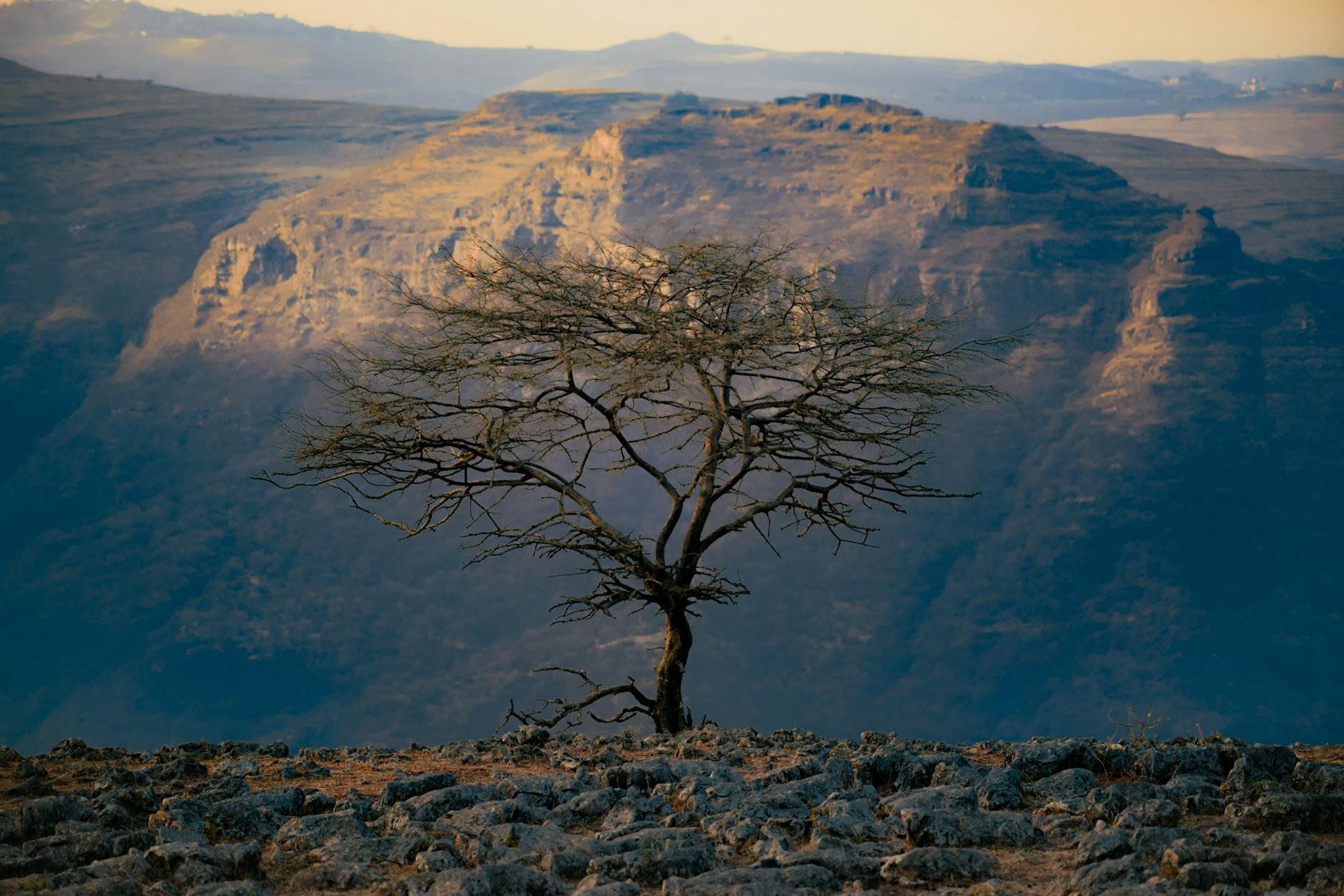 Ethiopia landscape