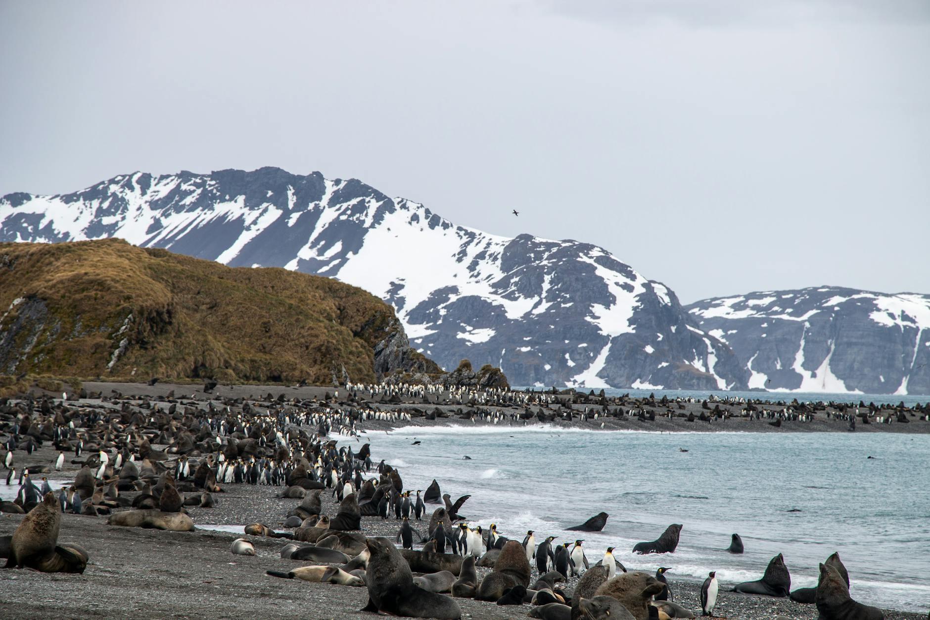 French Southern & Antarctic Lands landscape