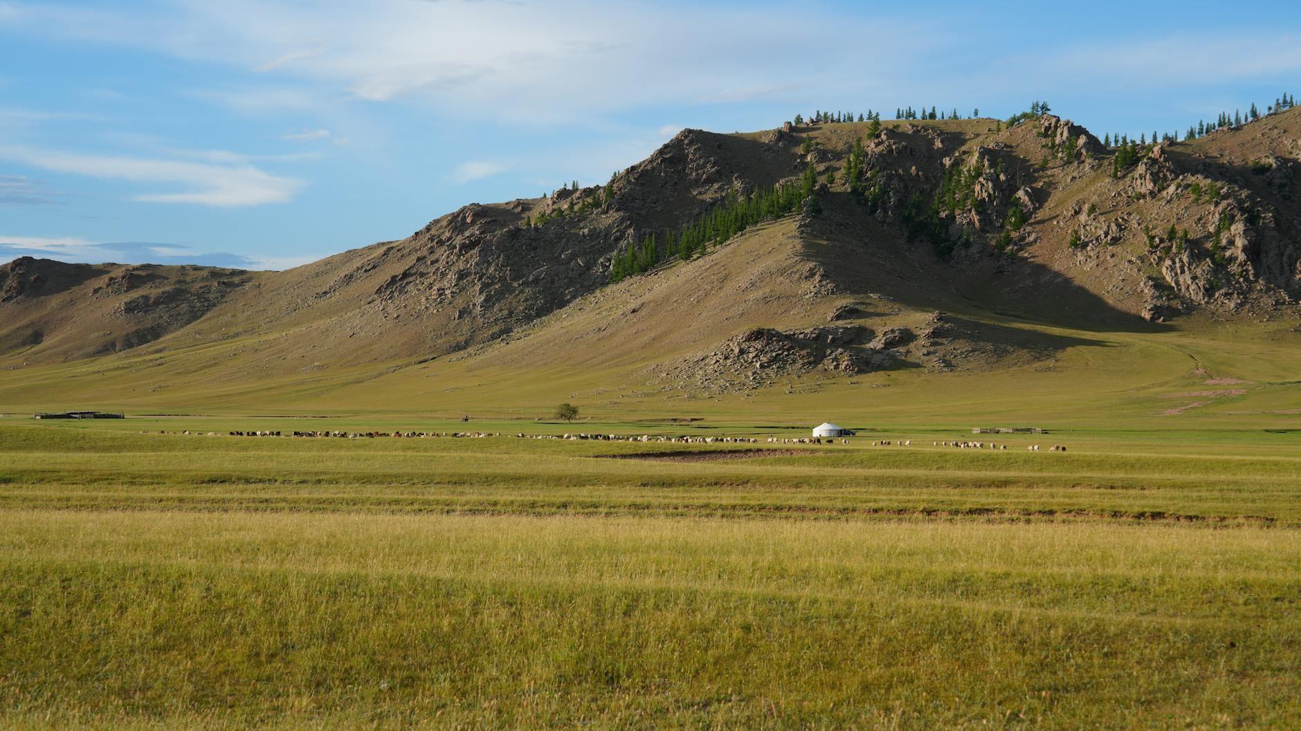 Mongolia landscape