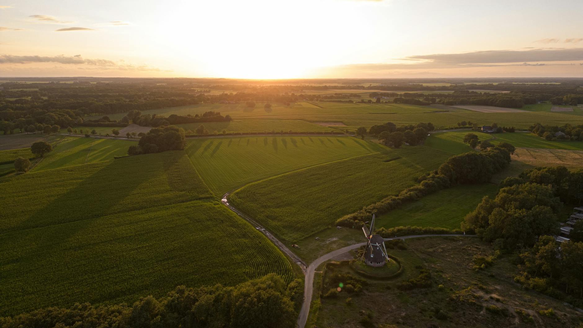 Netherlands landscape