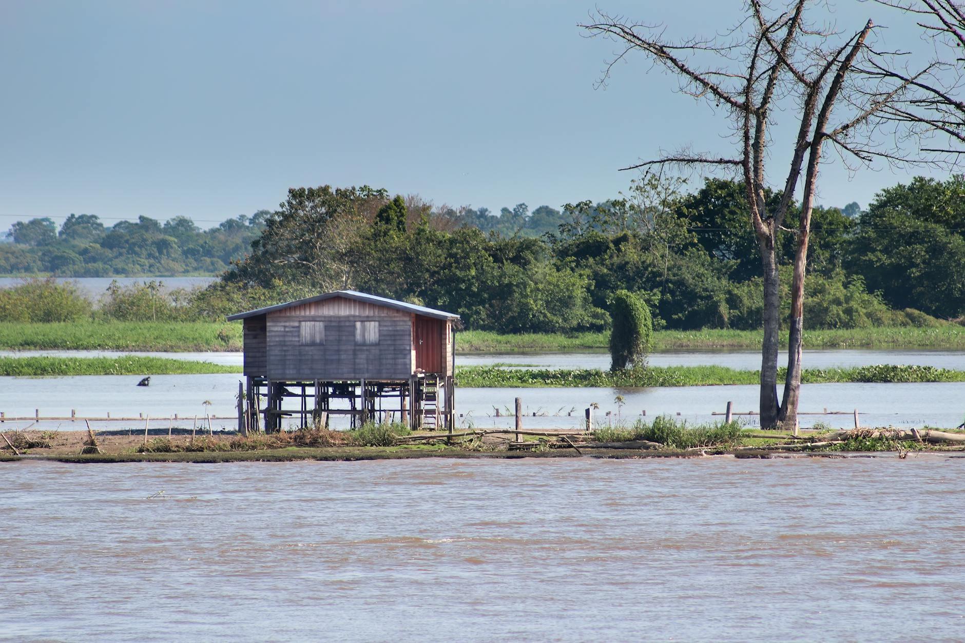 Suriname landscape