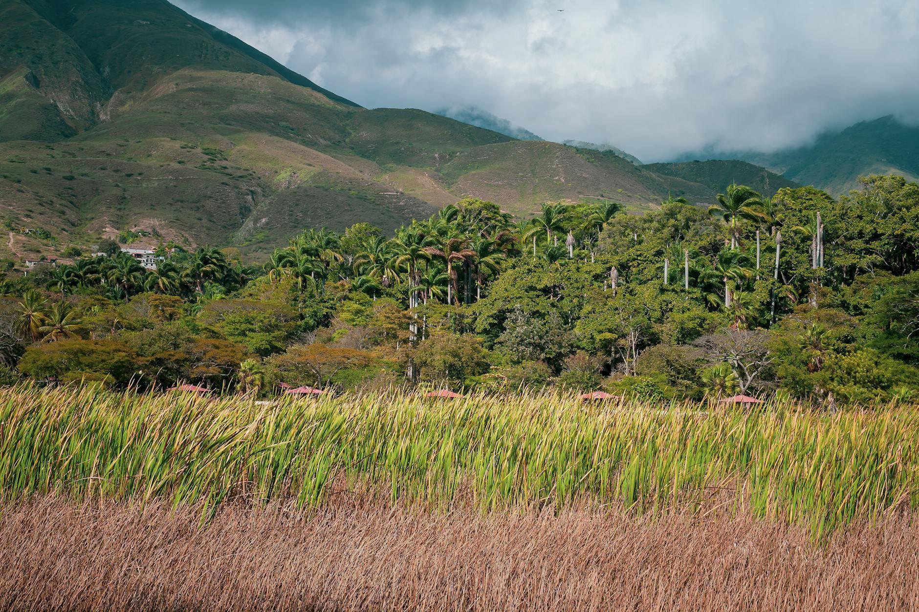 Venezuela landscape