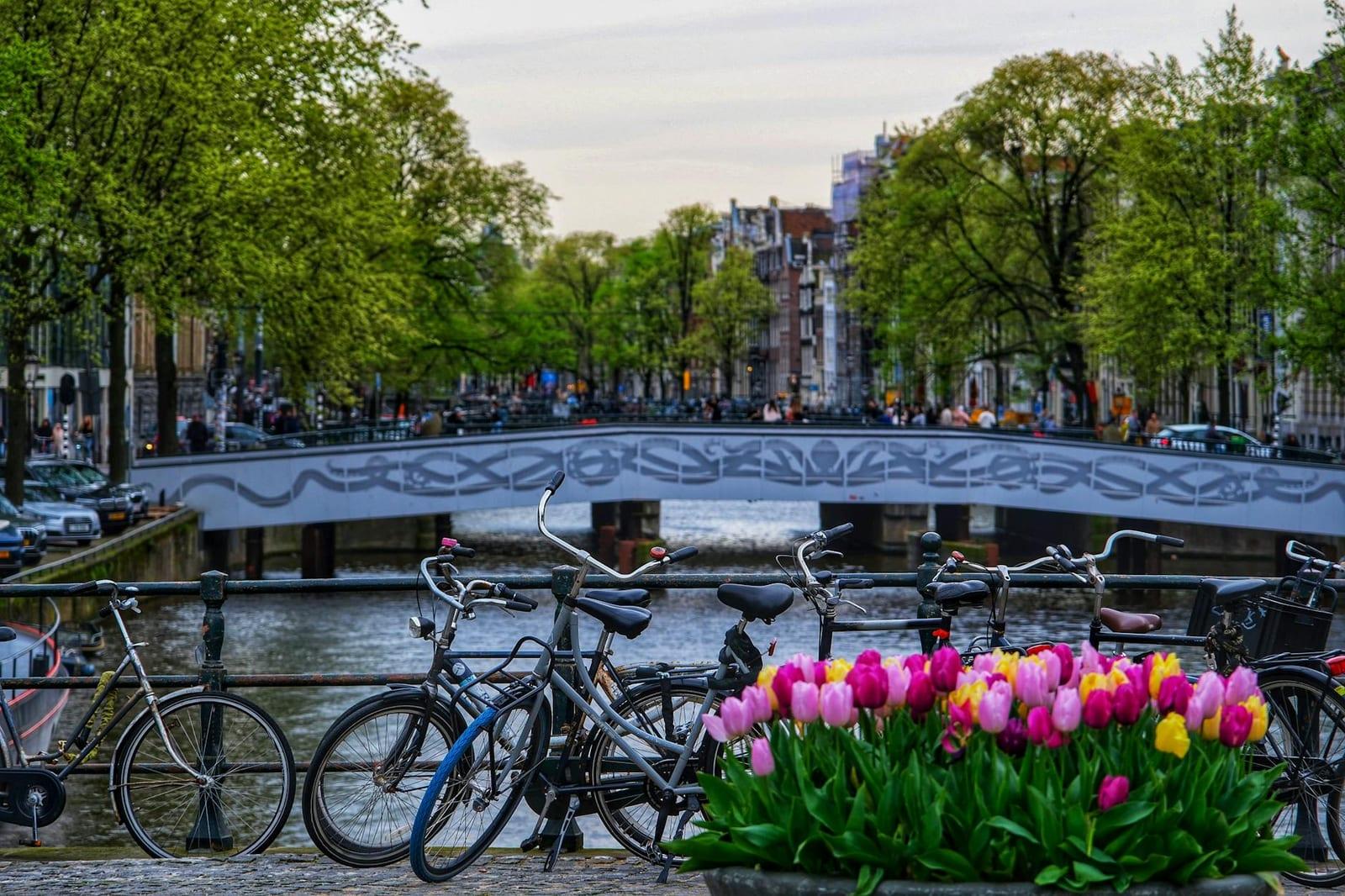 Bike Amsterdam's canal ring, Netherlands