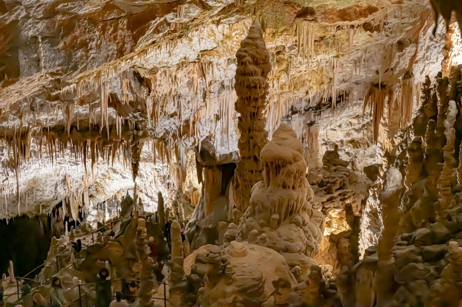 Postojna cave system, Slovenia