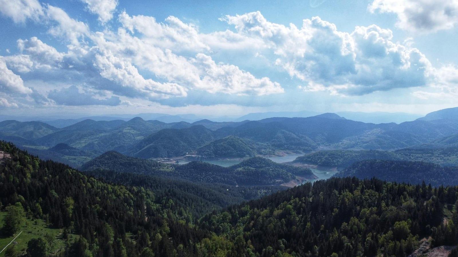 Tara national park, Serbia
