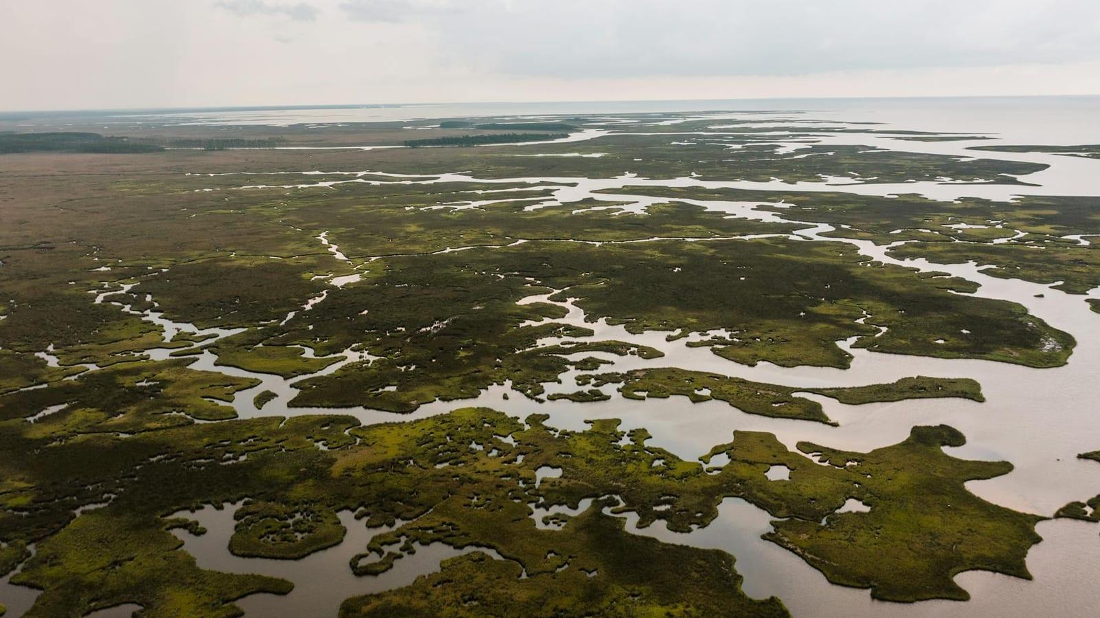 Orinoco delta, Venezuela