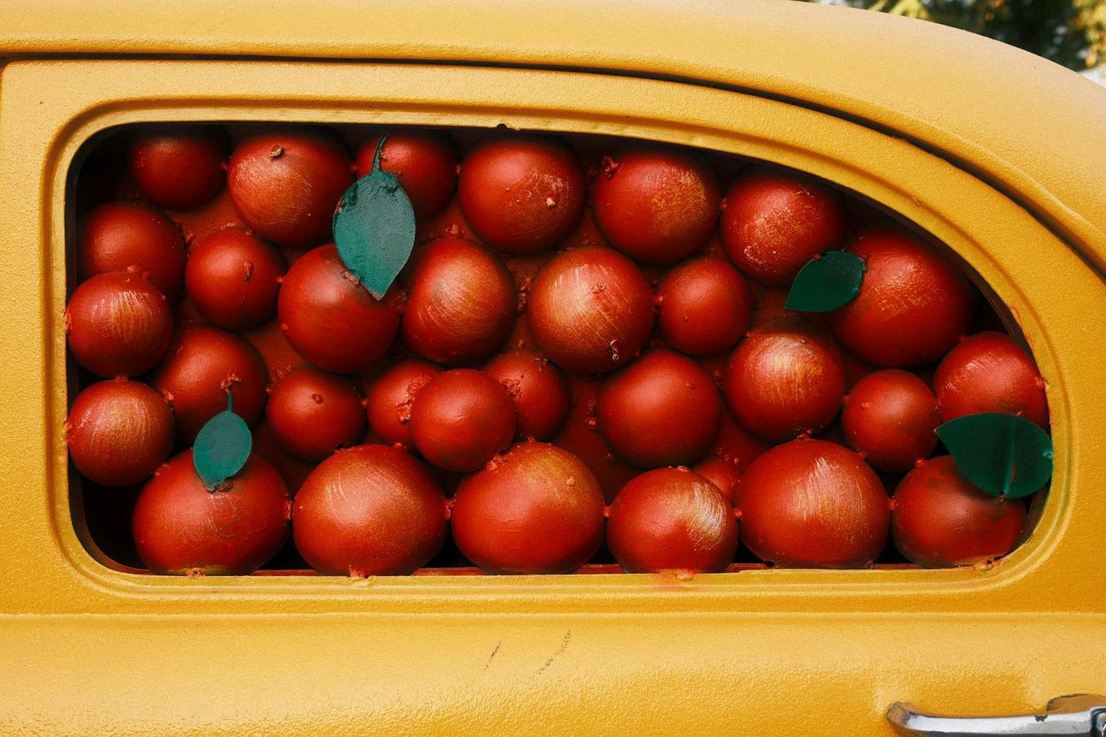 Eat in Almaty's apple country, Kazakhstan
