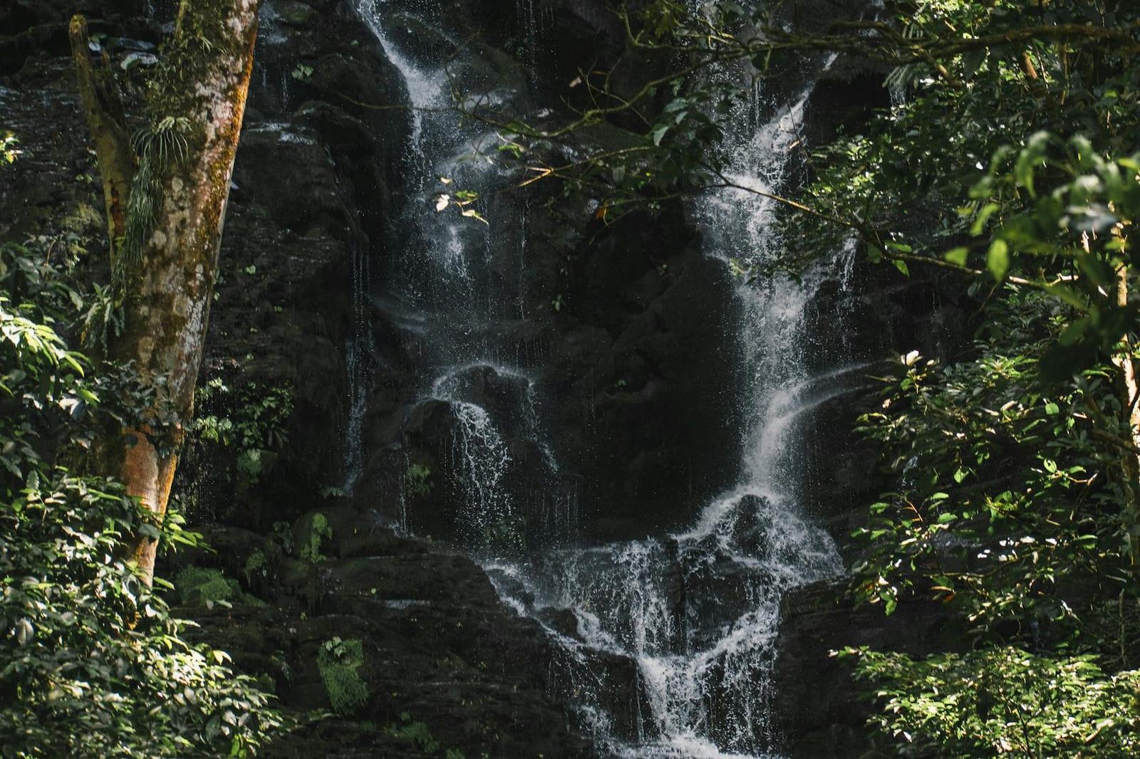 Sapo National Park, Liberia