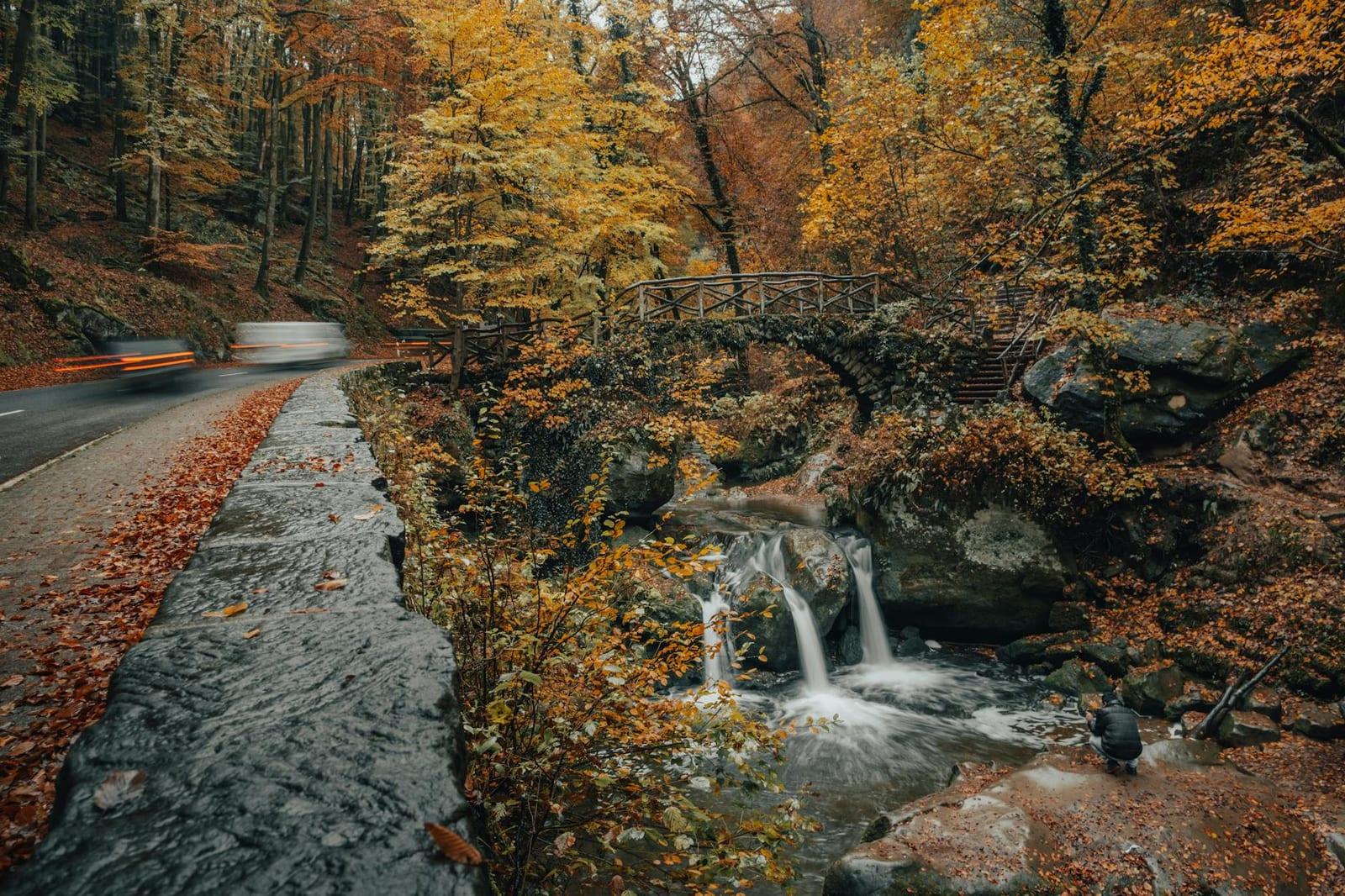 the Mullerthal trails, Luxembourg