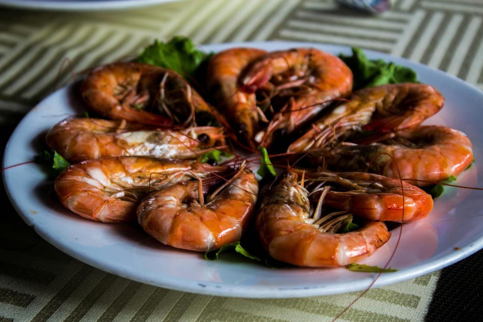 Eat fresh prawns on Maputo's seafront, Mozambique