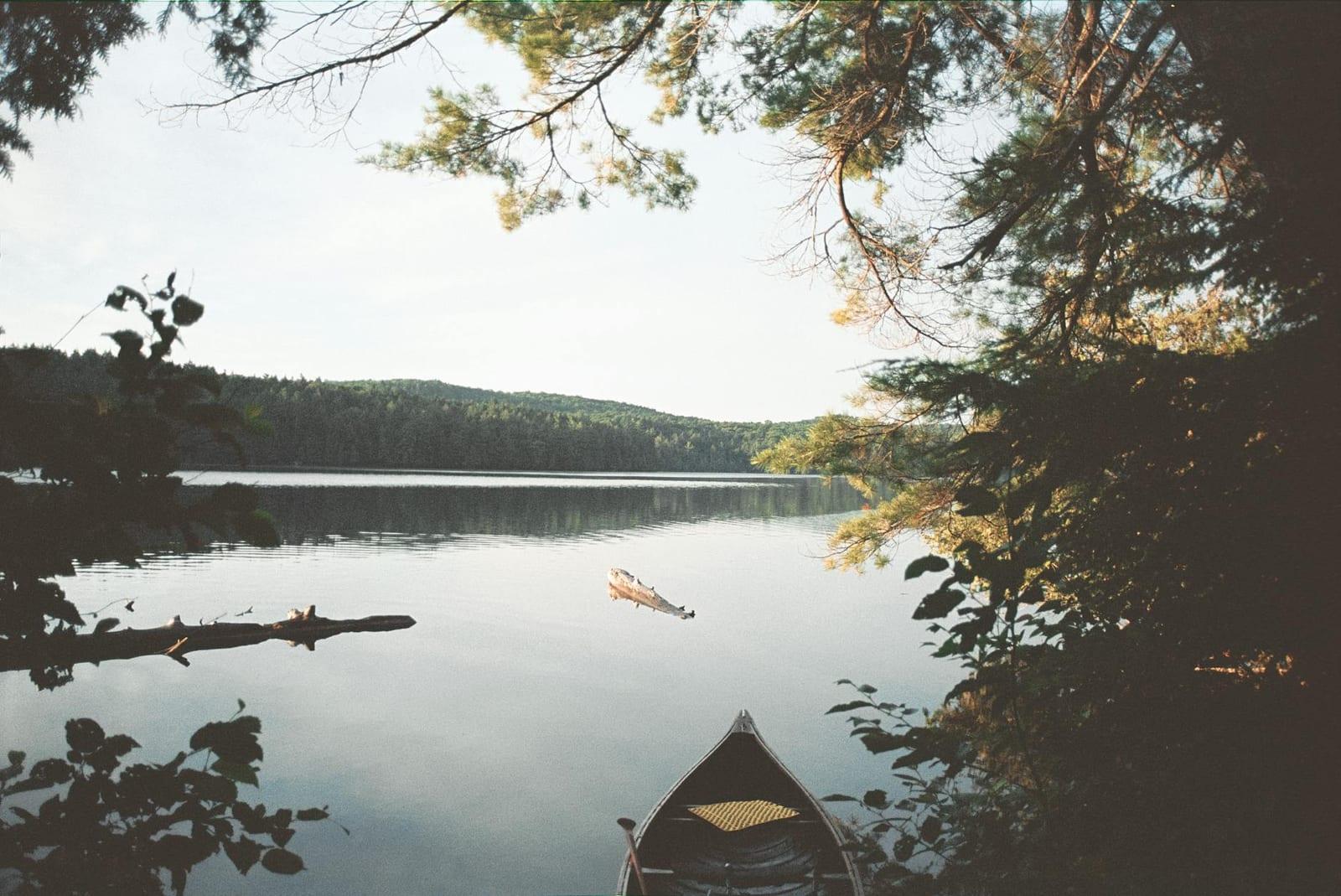 Canoe Algonquin Park, Canada