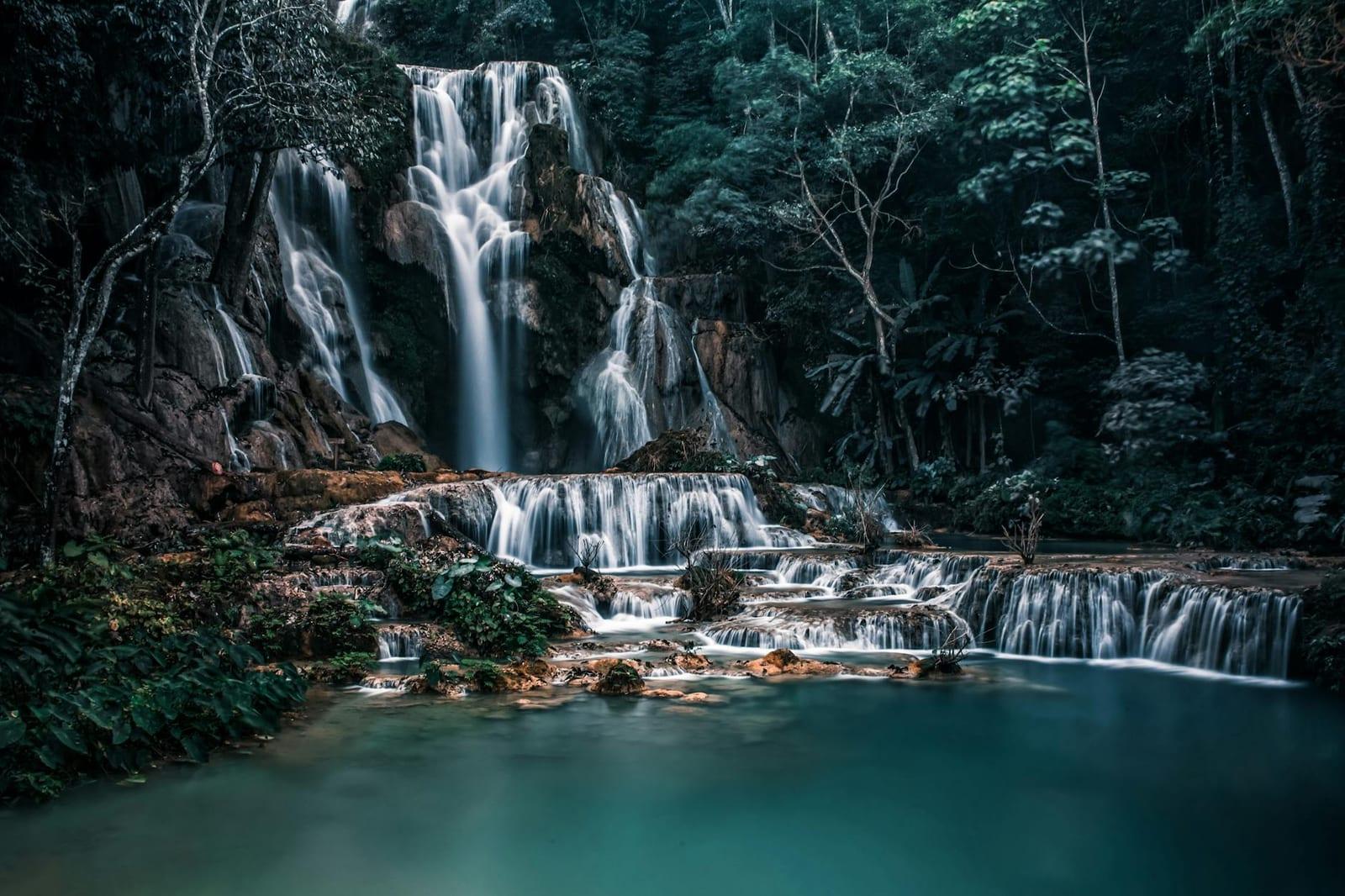 under Kuang Si waterfalls, Laos
