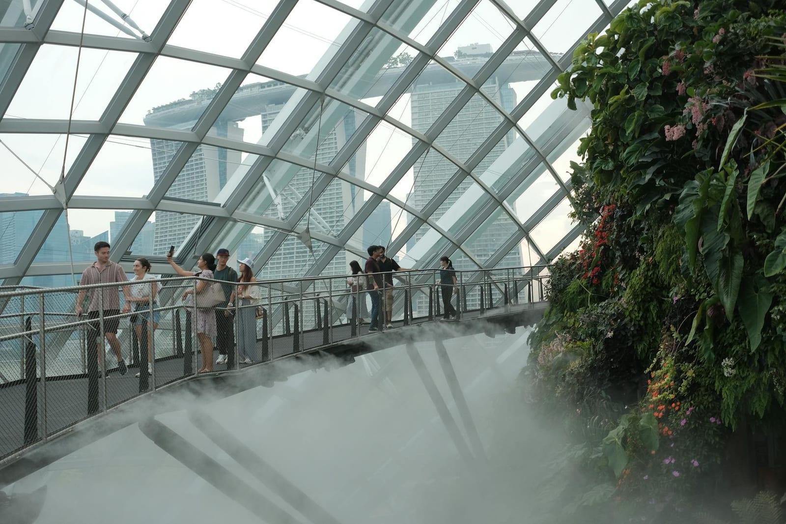 Gardens by the Bay's Cloud Forest, Singapore