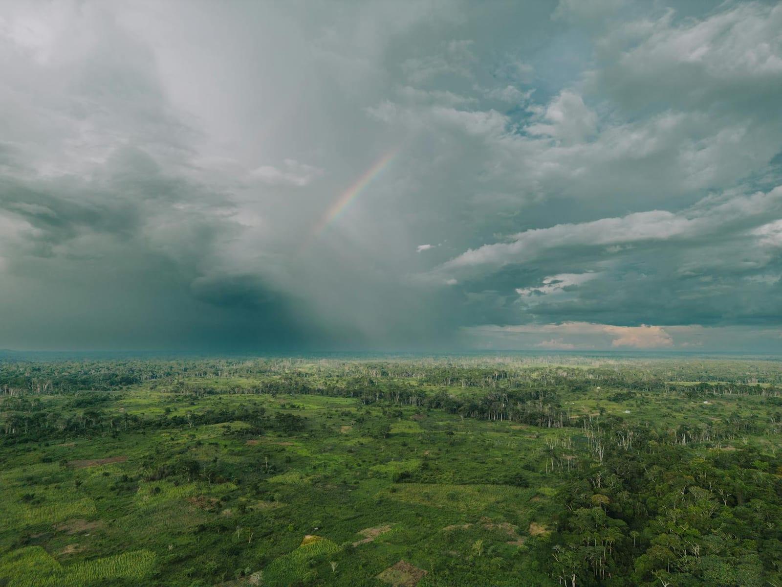 Monte Alén forest, Equatorial Guinea