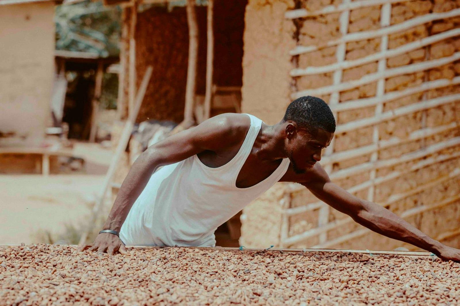 working cocoa plantation, São Tomé & Príncipe