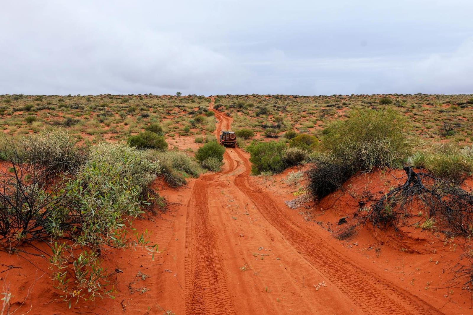the Larapinta Trail, Australia