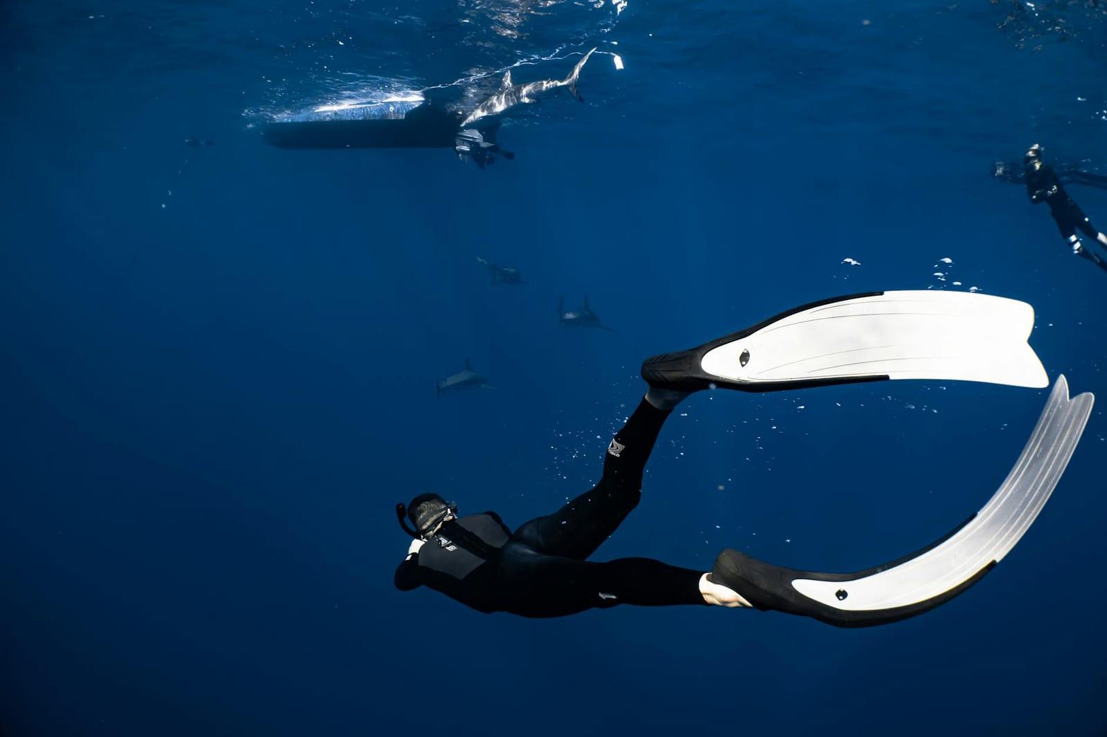 Free-dive in Beqa Lagoon, Fiji
