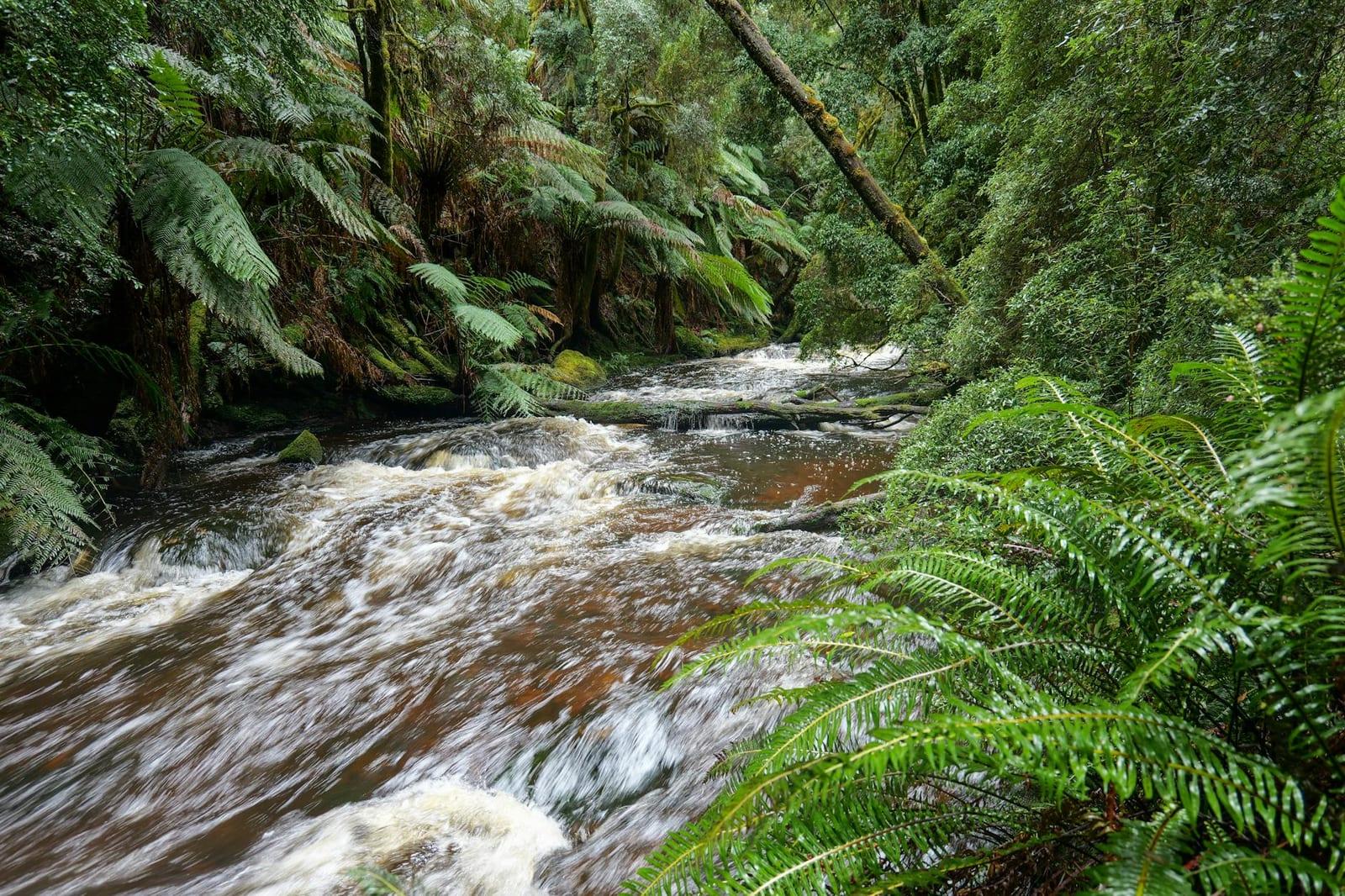 Franklin River, Australia