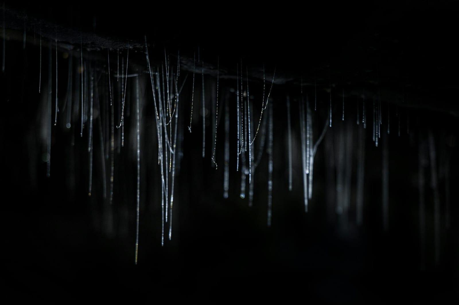 Waitomo Caves, New Zealand