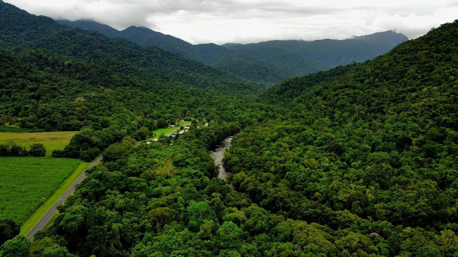 Daintree Rainforest, Australia