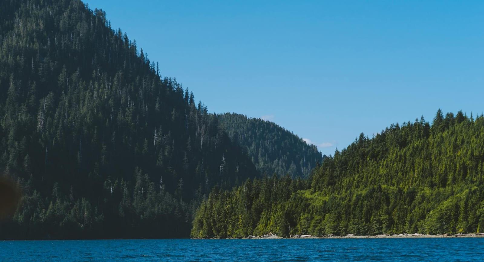 Great Bear Rainforest, Canada
