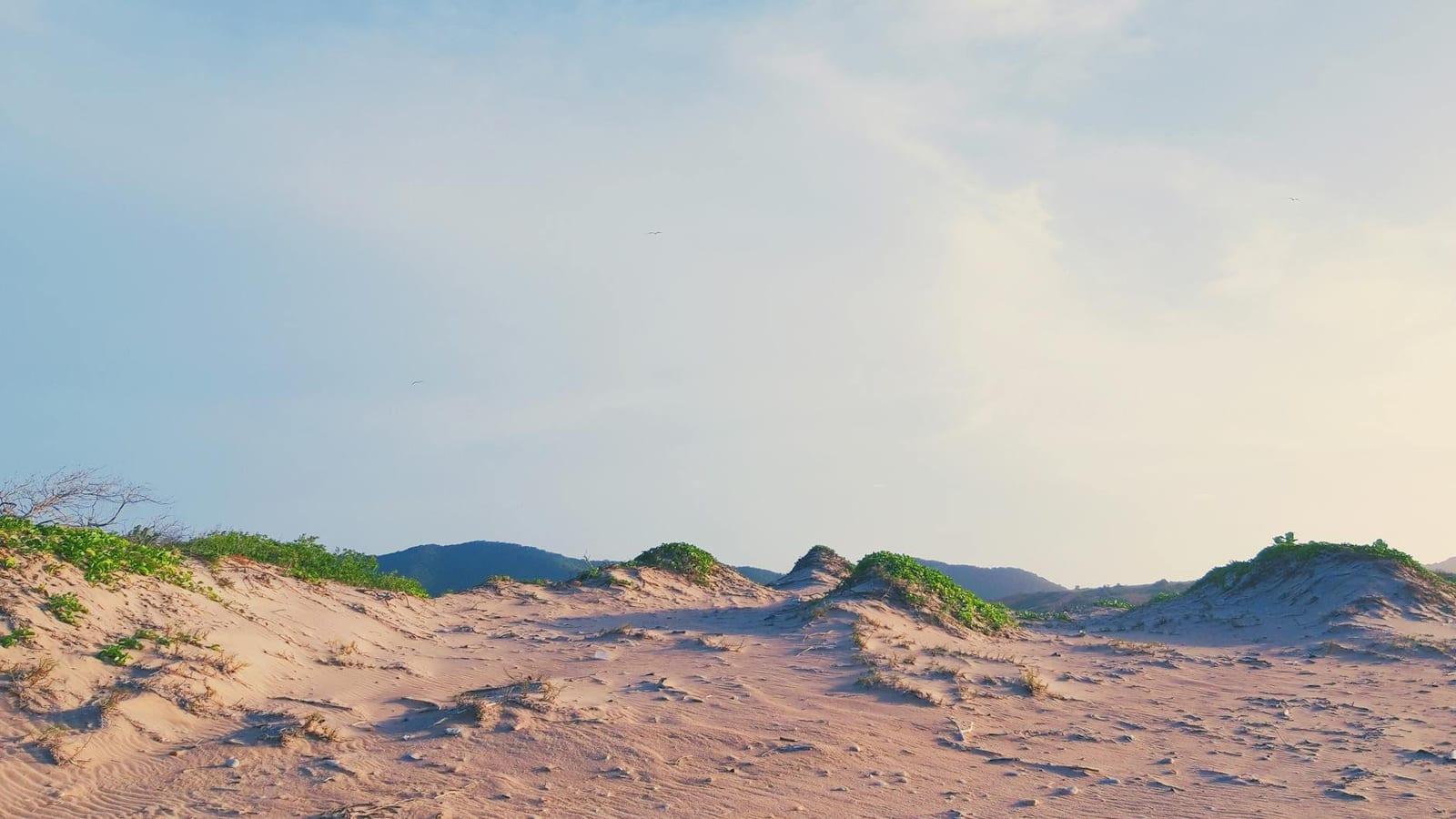 Medanos de Coro, Venezuela