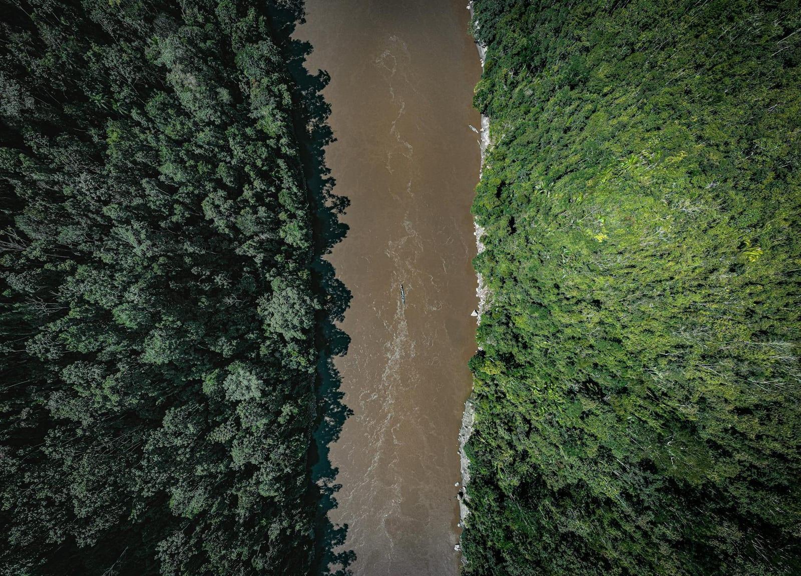 Tambopata National Reserve, Peru