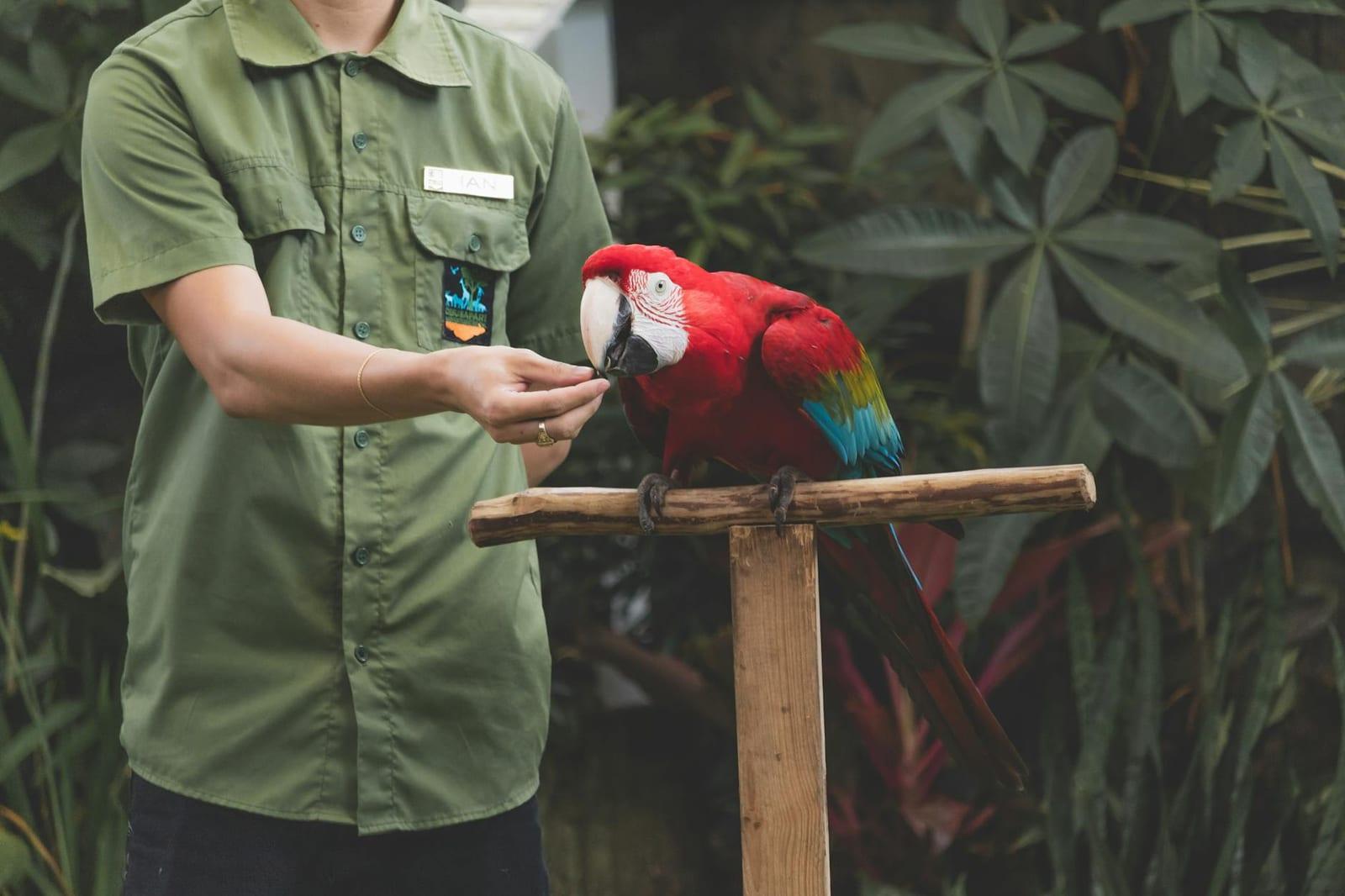 Sepilok Rehabilitation Centre, Malaysia