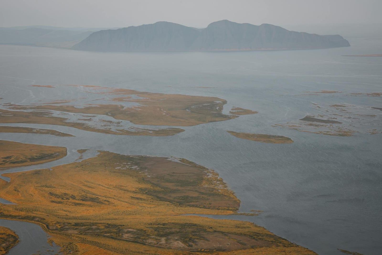 Wrangel Island, Russia