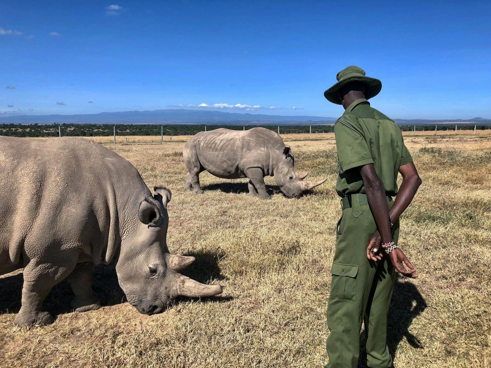Ol Pejeta Conservancy, Kenya