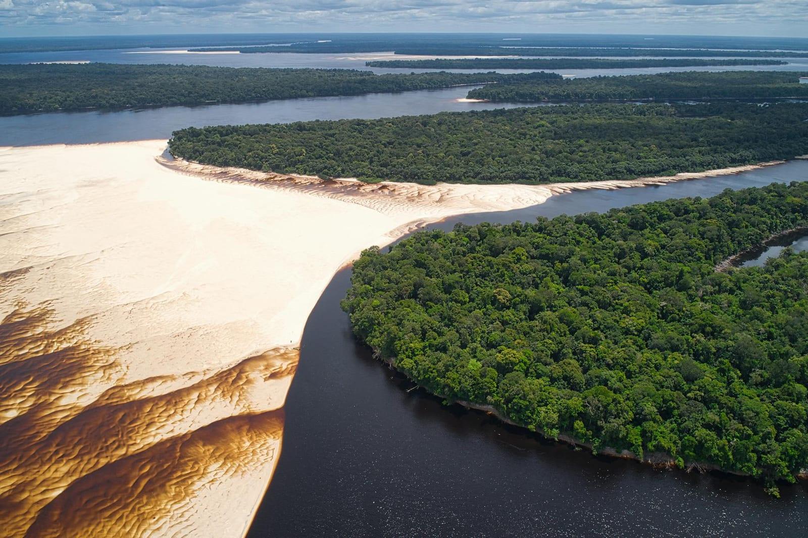 Amazon Rainforest, Brazil