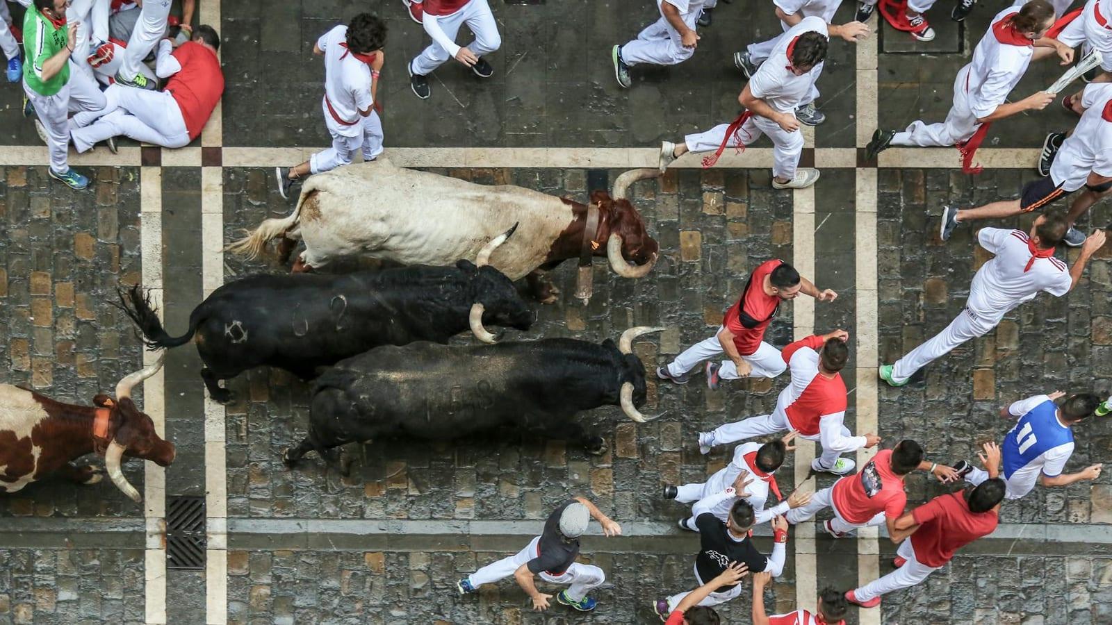 Running of the Bulls, Spain