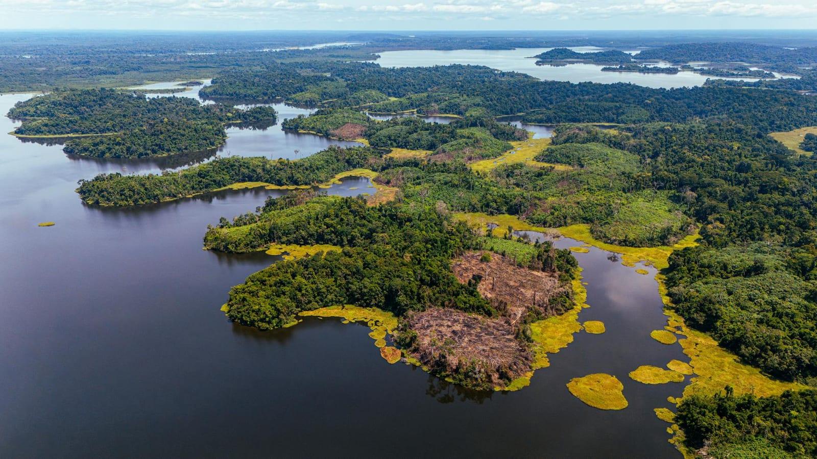 Dja Faunal Reserve, Cameroon
