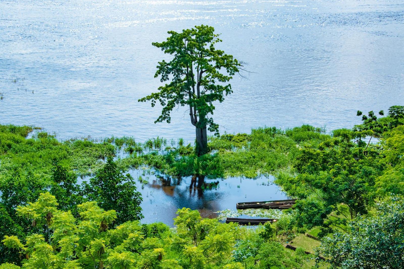 Odzala National Park, Congo