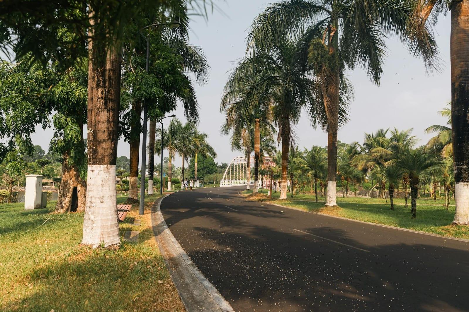 Conakry Botanical Garden, Guinea