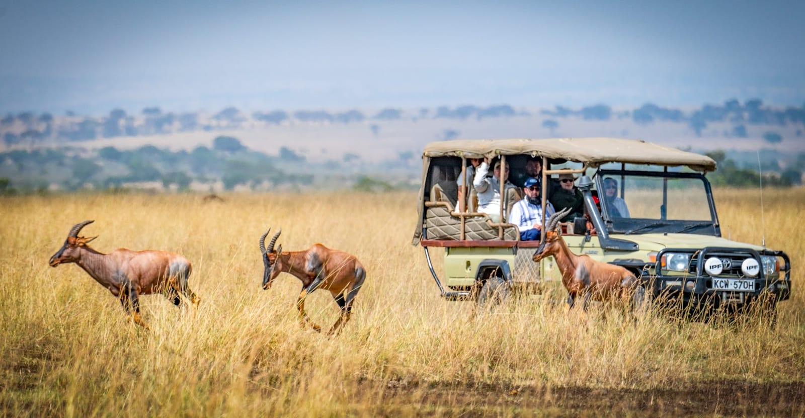 Maasai Mara Game Reserve, Kenya