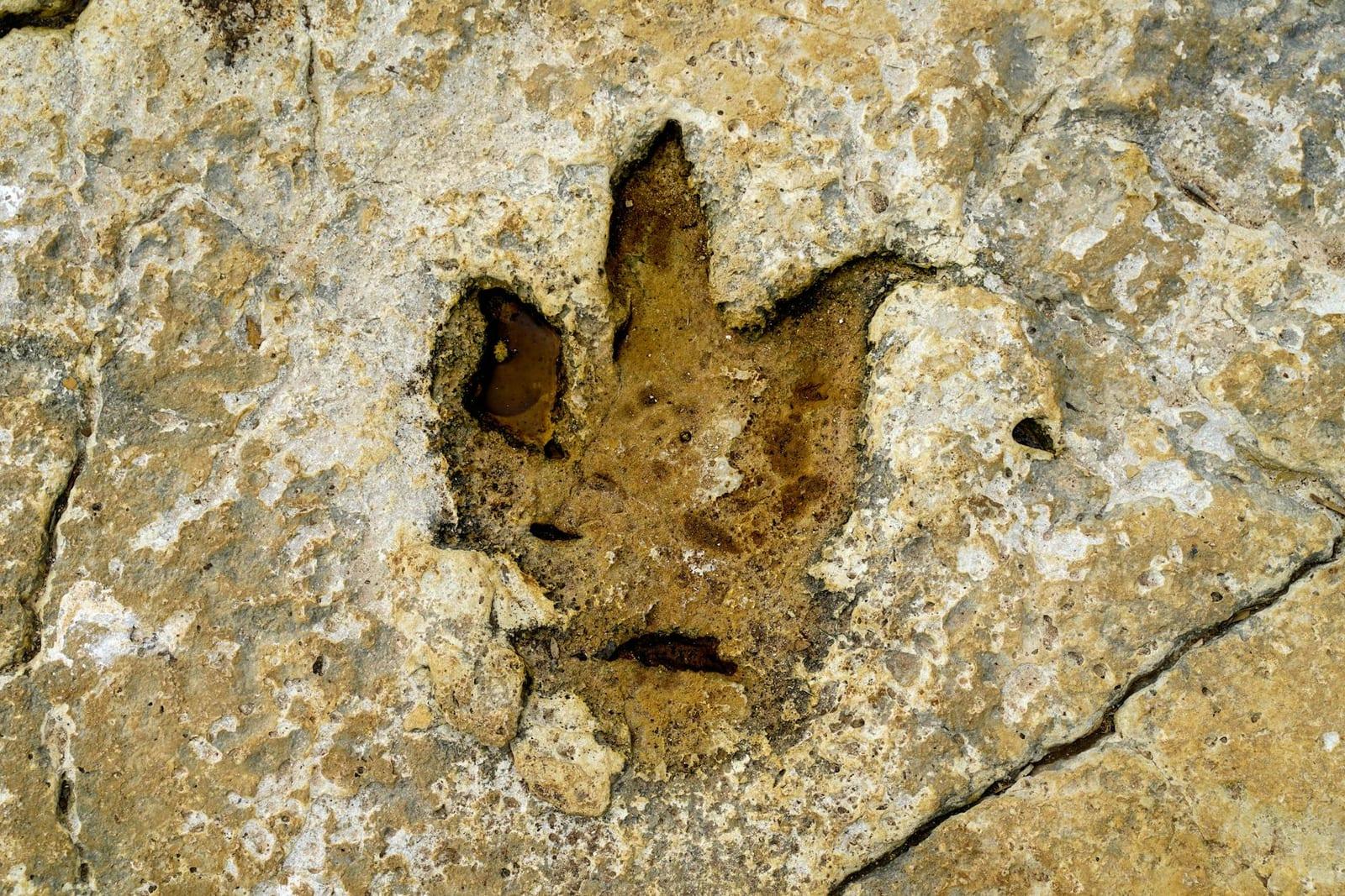 Subeng River Dinosaur Tracks, Lesotho