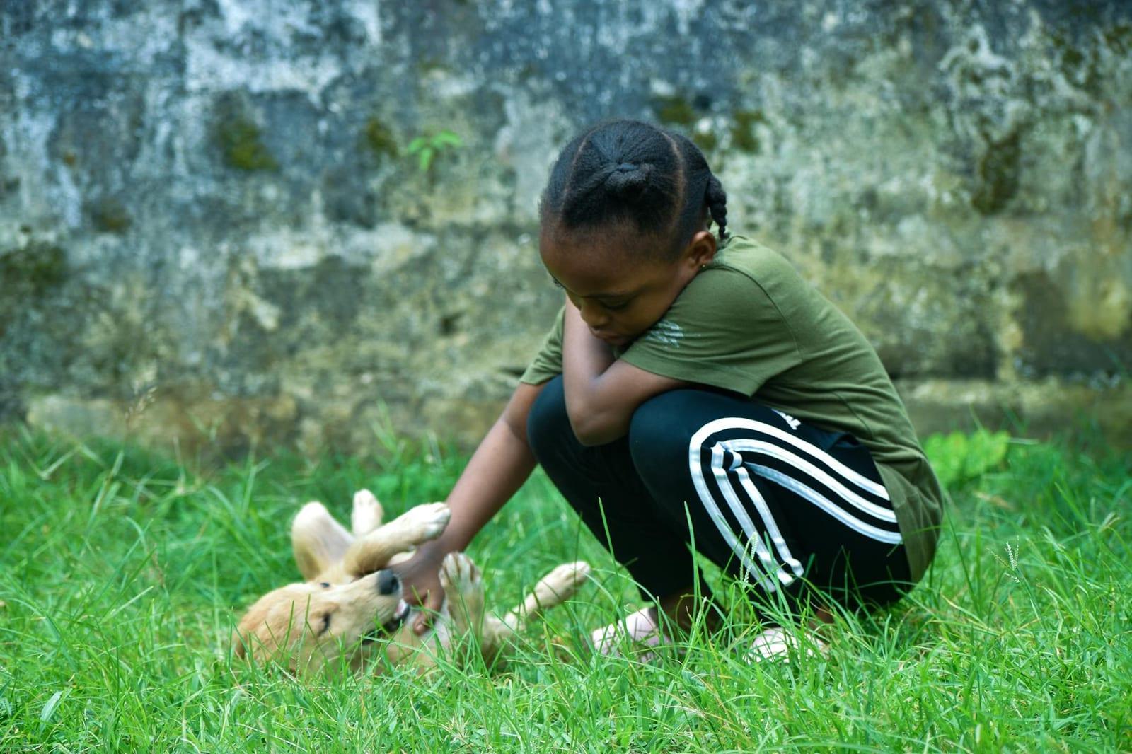 National Museum of Liberia, Liberia