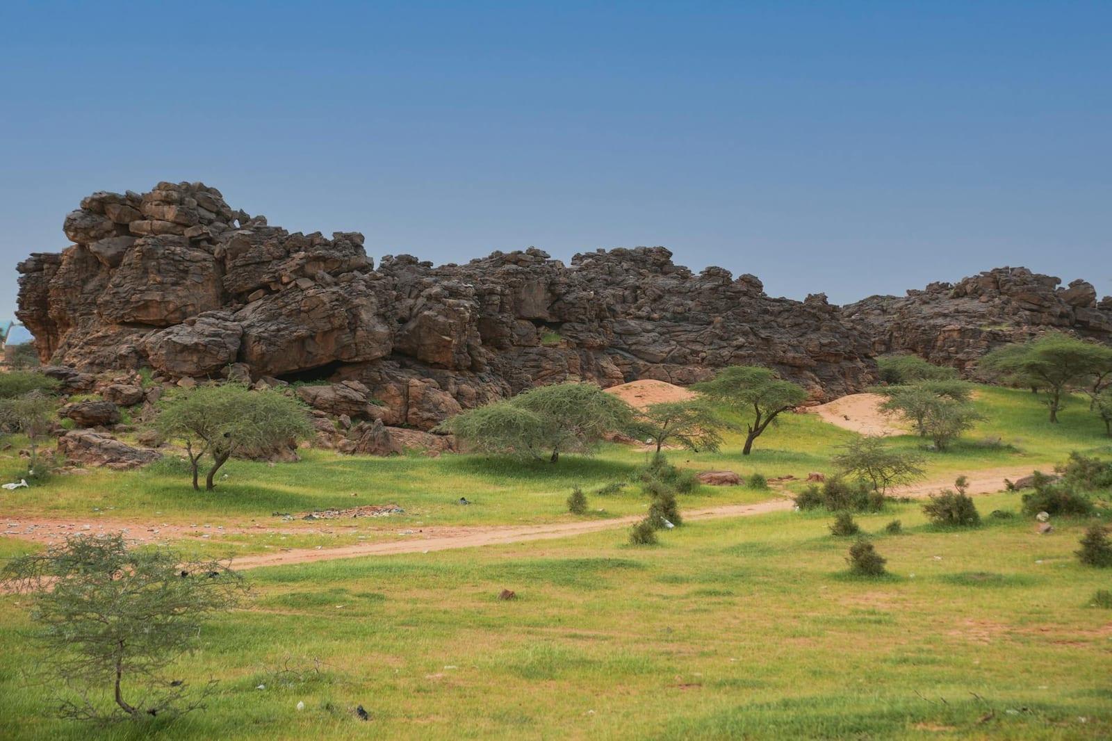 Banc d’Arguin National Park, Mauritania