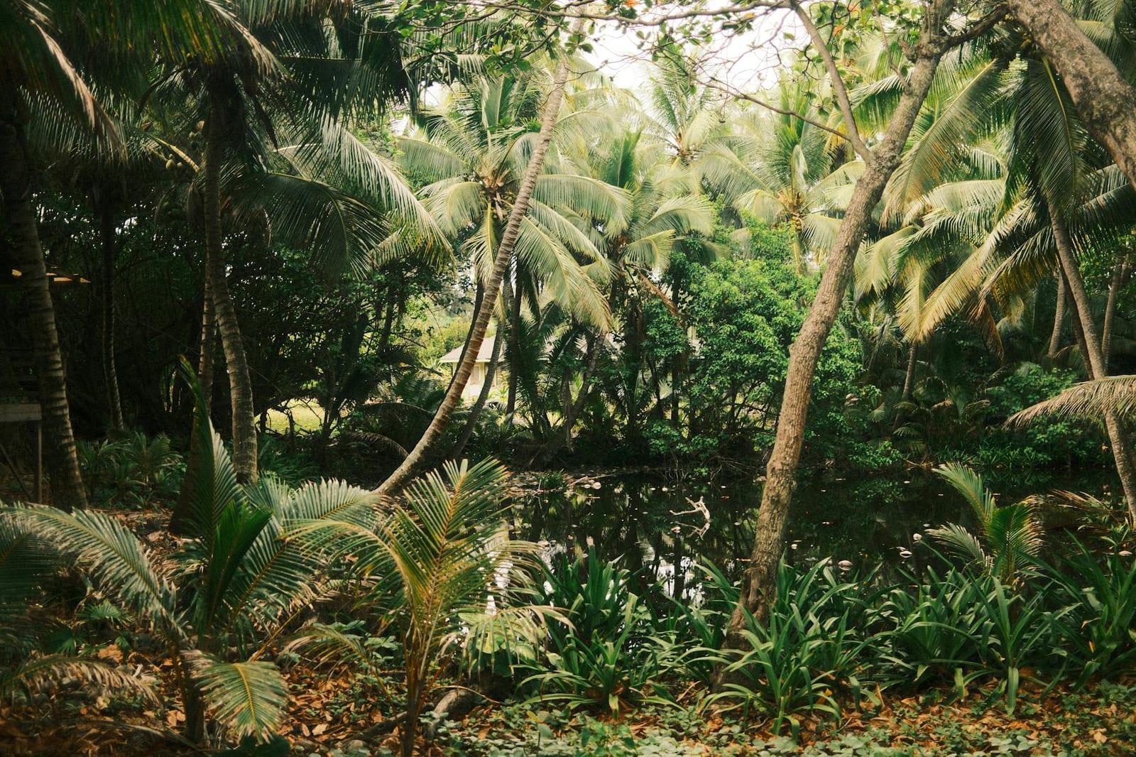 Tiwai Island Wildlife Sanctuary, Sierra Leone