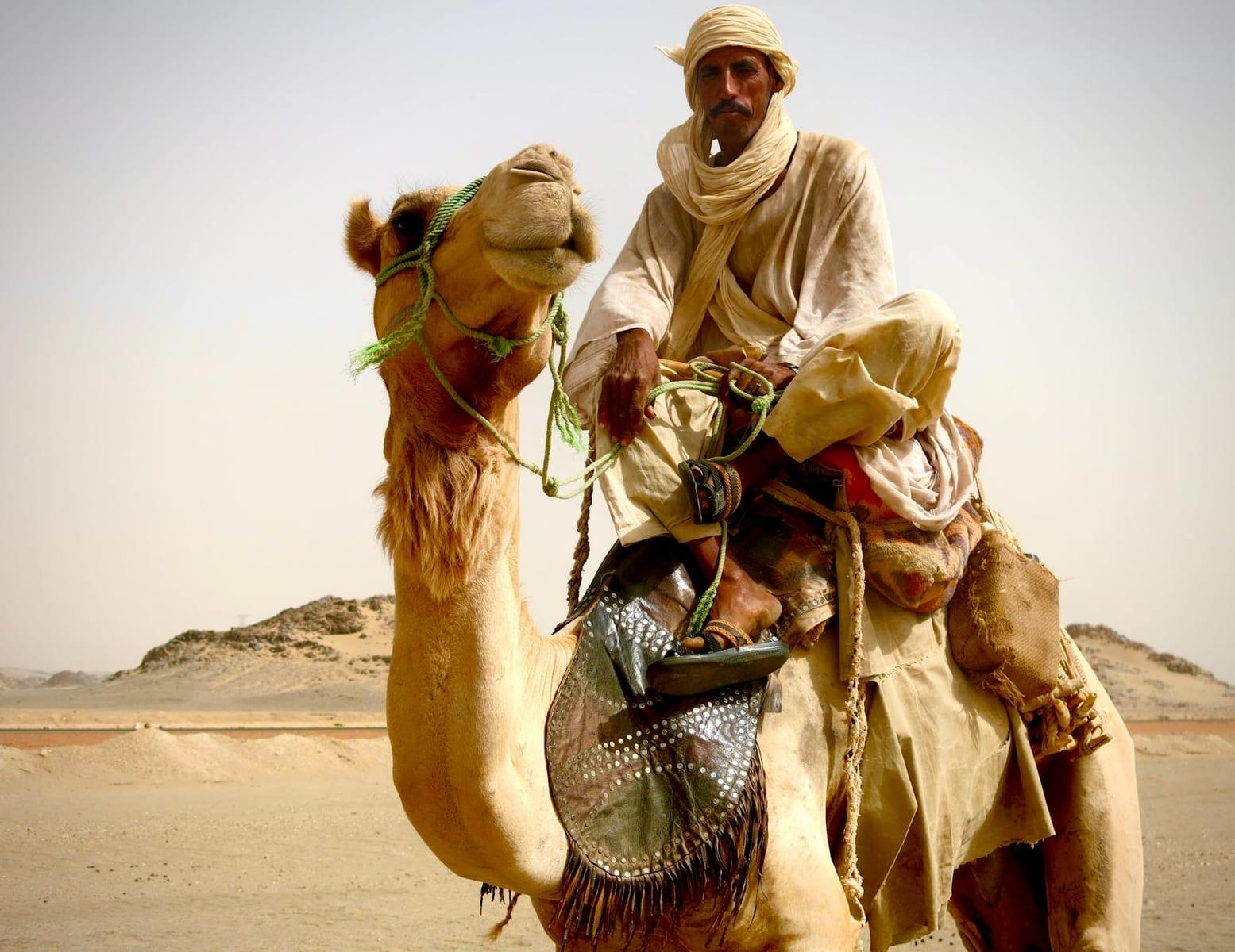 Omdurman Camel Market, Sudan