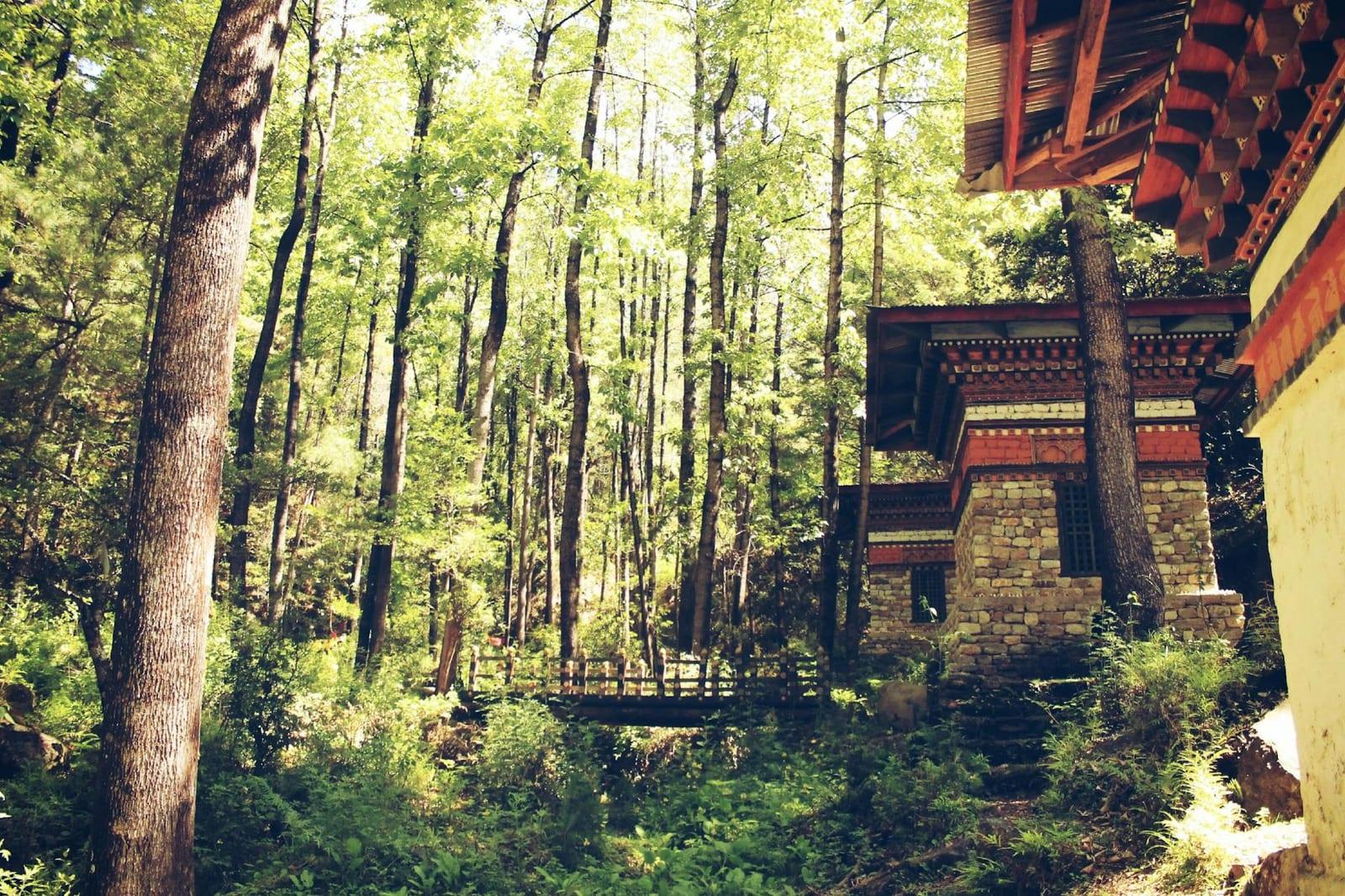 Jigme Singye Wangchuck National Park, Bhutan