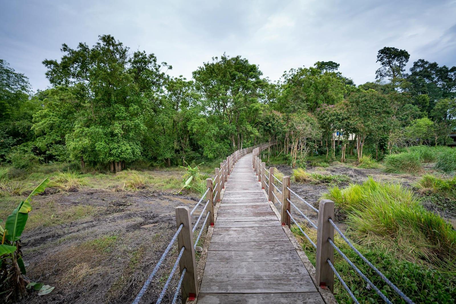 Ream National Park, Cambodia