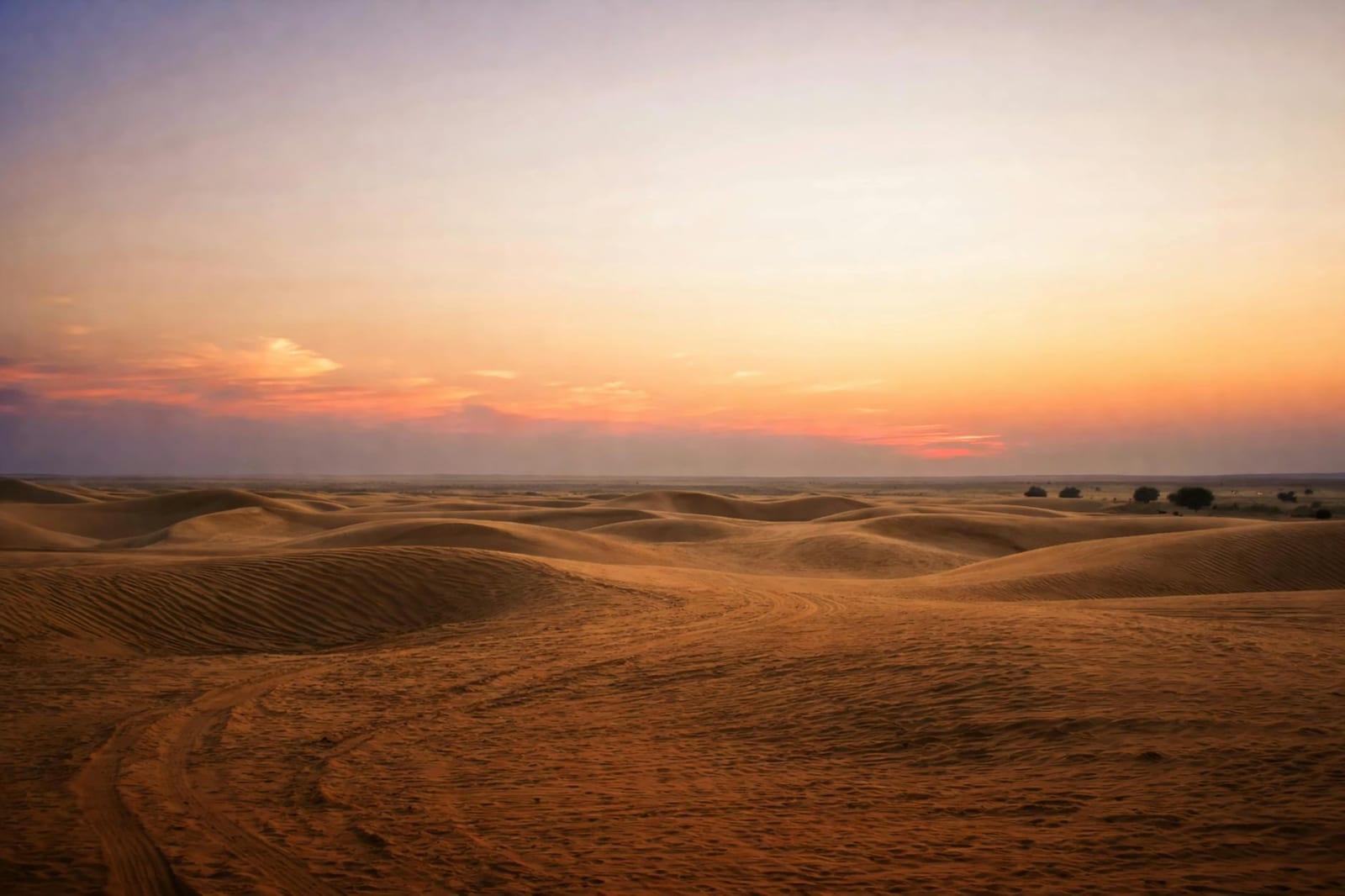 Thar Desert, India