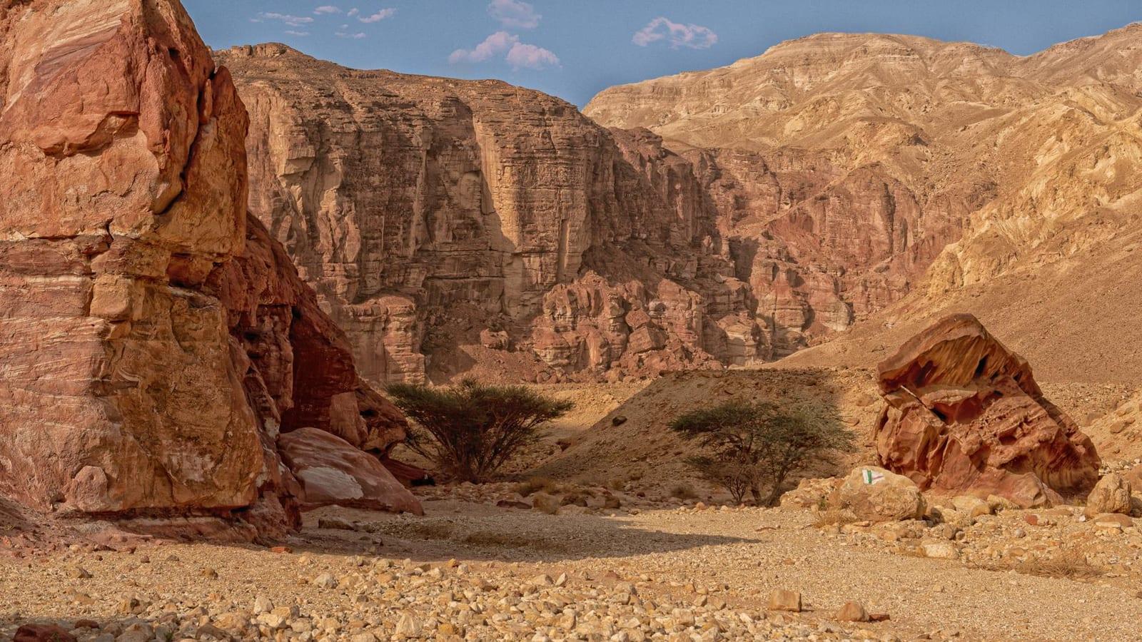 Ramon Nature Reserve, Israel